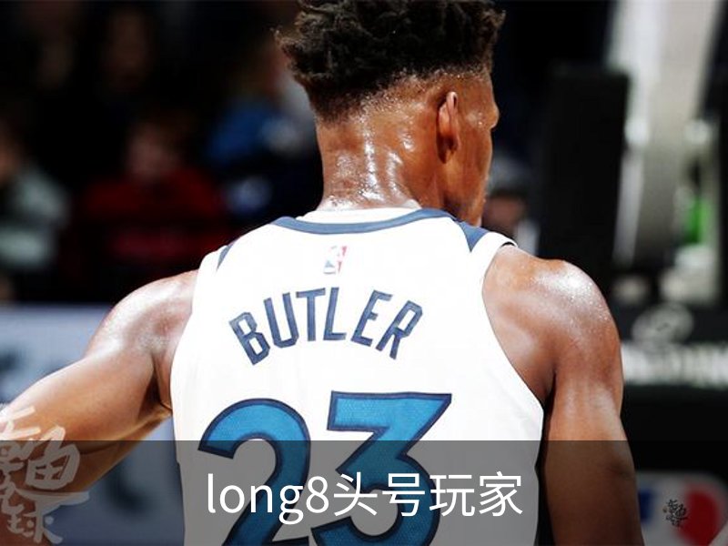 long8头号玩家概况